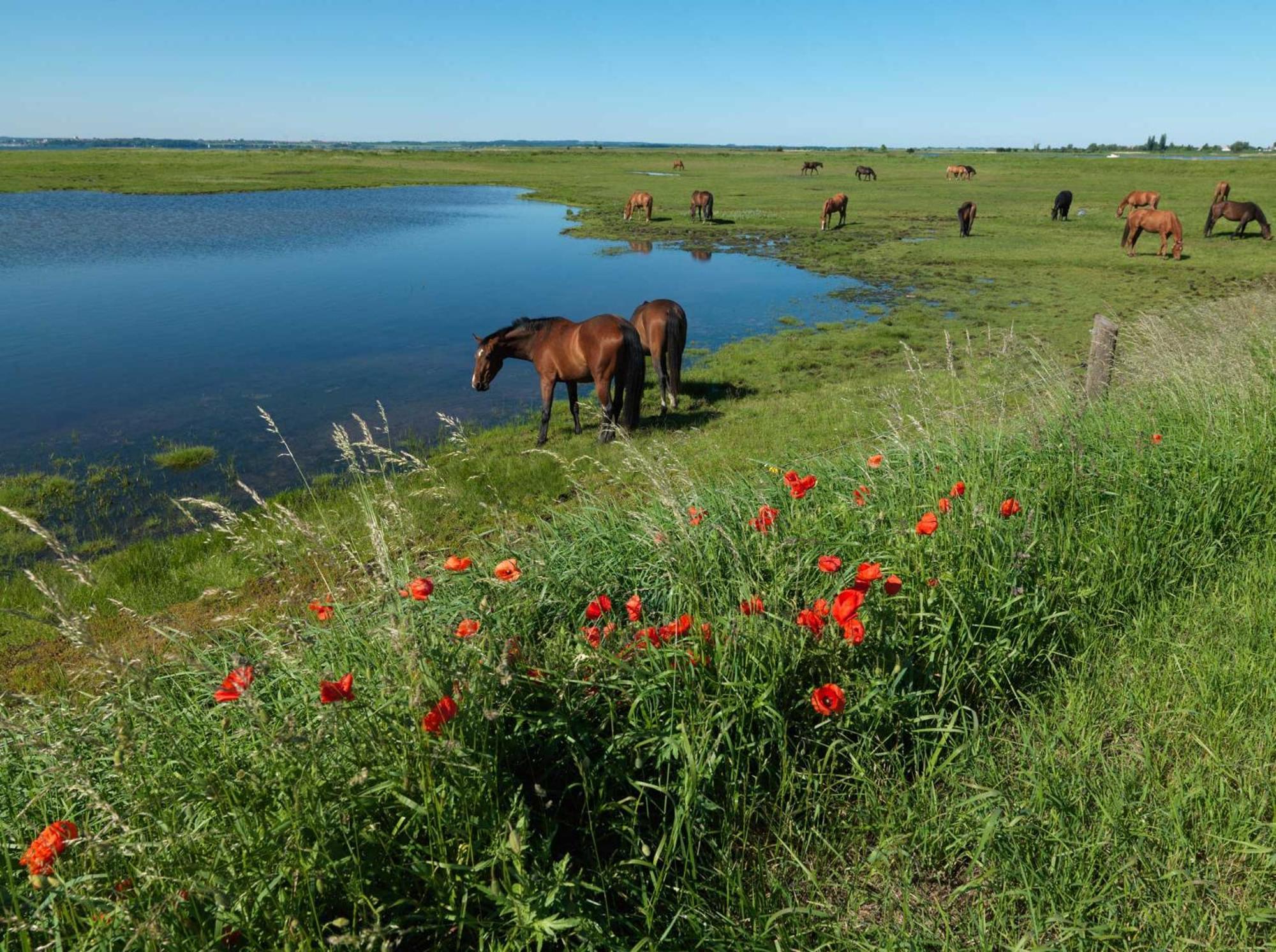 Appartamento Poschmann Strohboden Insel Poel