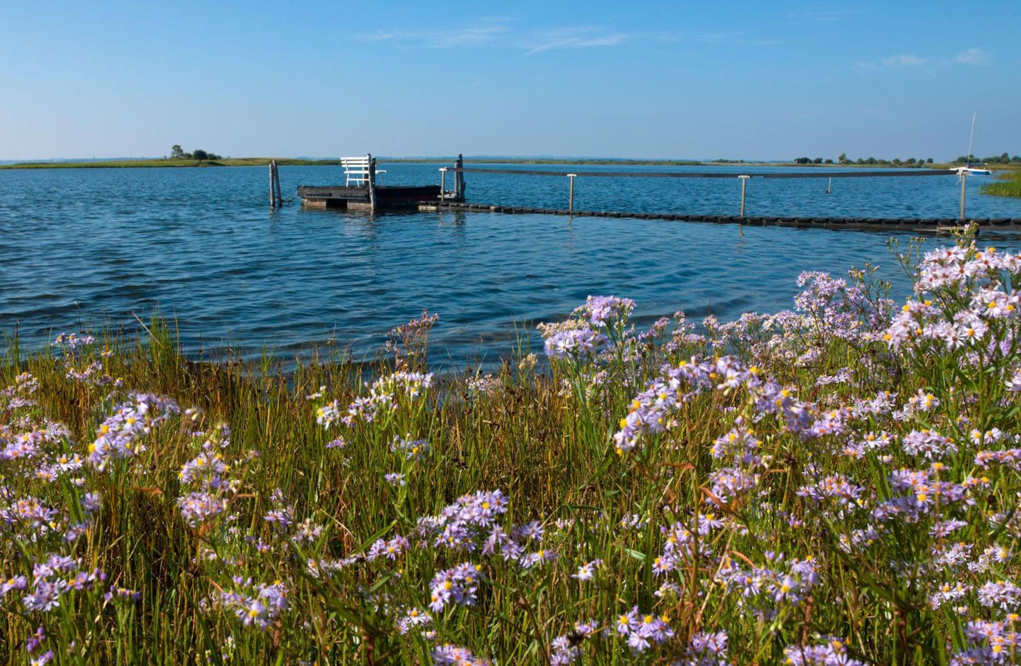 Poschmann Strohboden Appartamento Insel Poel