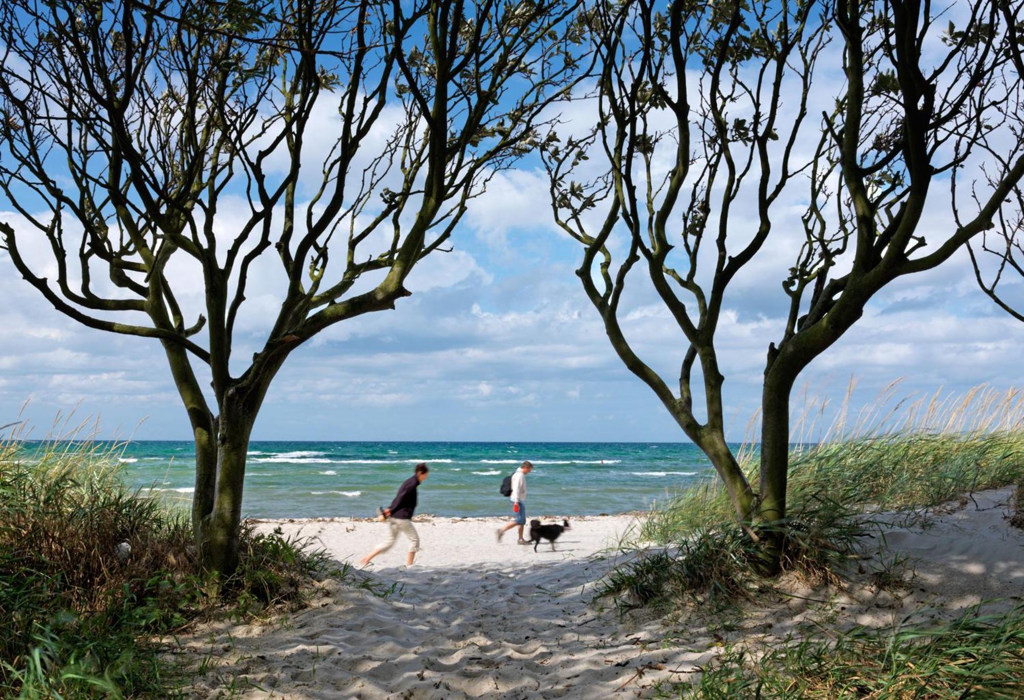 Poschmann Strohboden Insel Poel